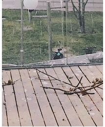 ZARA | モカシン/デッキシューズ