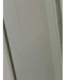 GALLARDAGALANTE | スカート