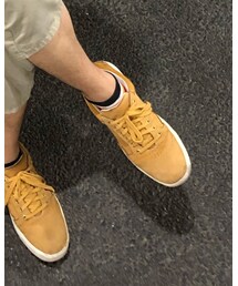 Timberland | スニーカー