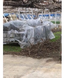 アーバンリサーチ | ハンチング/ベレー帽