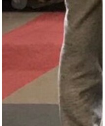 UNIQLO | 28cm(スラックス)