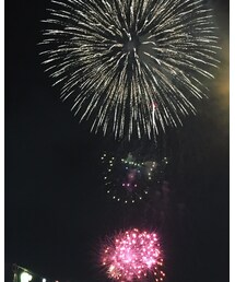 花火💜 | その他