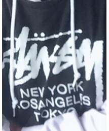 STUSSY | Tシャツ/カットソー