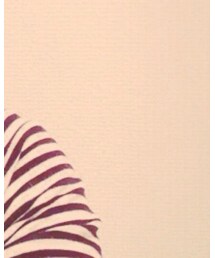 Lee | デニムパンツ