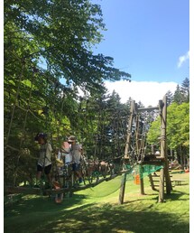 🌲⛰🌳 | その他