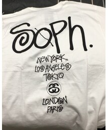 STUSSY | Tシャツ/カットソー