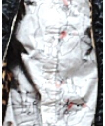 rovtski | シャツ/ブラウス