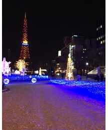 大通りイルミネーション① | その他
