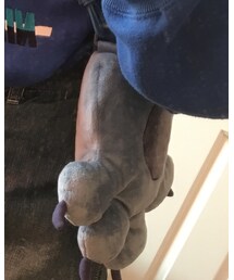 Disney | ショルダーバッグ