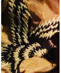 Varde77 | ジャケット/アウター