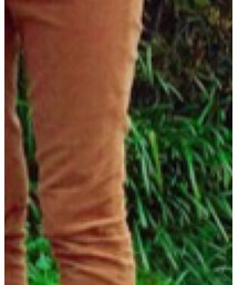 Green　Parks | その他パンツ