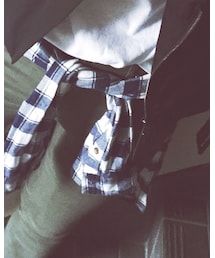 Hollister | シャツ/ブラウス