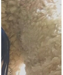 しまむら | その他アウター
