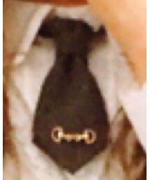 Metamorphose | ファッション雑貨