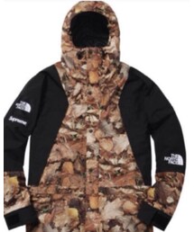 Supreme  | マウンテンパーカー