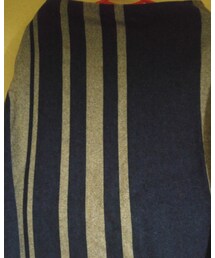 ALFASPIN | フレア―スカート(スカート)