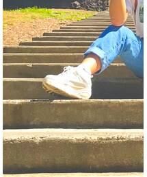 STEVE MADDEN | スニーカー