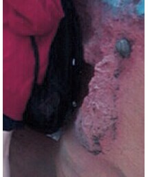 OLIVE des OLIVE | バックパック/リュック