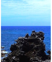 太平洋 | その他