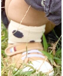 Birthday | tete a tete(レッグウェア)