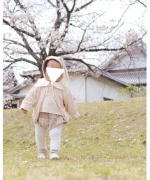 正面🌸 | その他