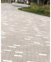 気持ち良い一日、お散歩 | その他