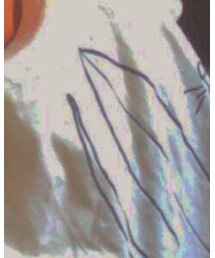 WAIT | Tシャツ/カットソー