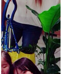 UNIQLO | デニムパンツ