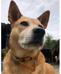 MEI chan | その他