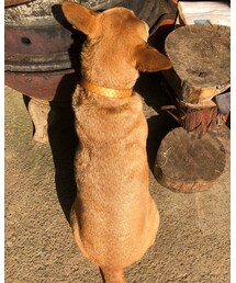 MEI chan | その他