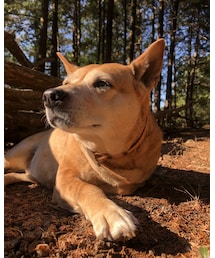 MEI chan | その他