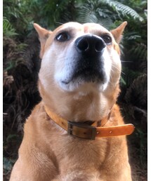 MEI chan | その他