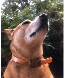 MEI chan | その他