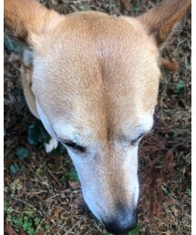 MEI chan | その他