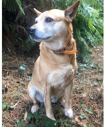 MEI chan | その他