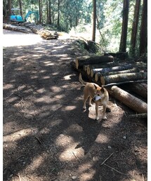 MEI chan | その他