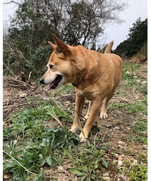 MEI chan | その他