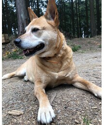 MEI chan | その他