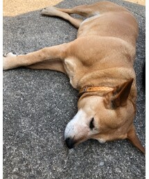 MEI chan | その他