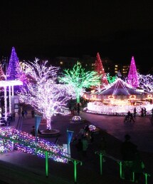 その他 | その他