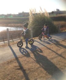 ストライダー | その他