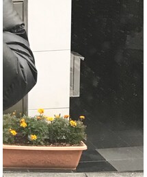 NIKE | ダウンベスト