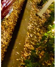 ZARA | その他パンツ