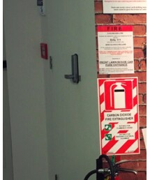 EVISU | デニムパンツ