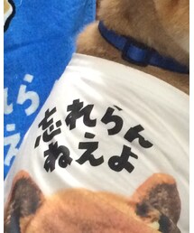 忘れらんねえよ | Tシャツ/カットソー