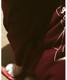 [Alexandros] | Tシャツ/カットソー