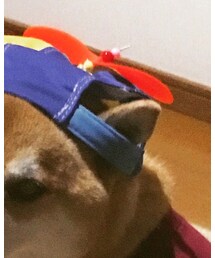 FLYING TIGERS | キャップ