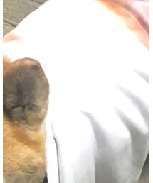 俊敏なコロッケ | Tシャツ/カットソー