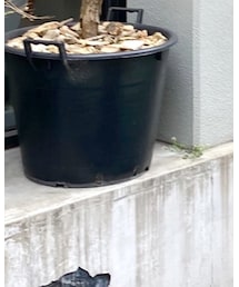 ZARA | デニムパンツ