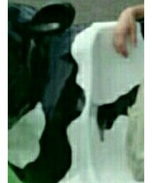 お土産 | お土産(その他)